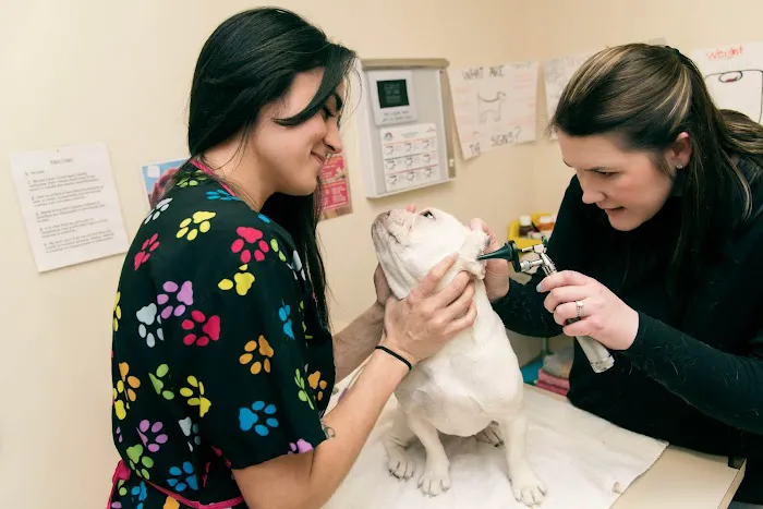 Cascade Park Animal Hospital 12