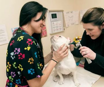 Cascade Park Animal Hospital