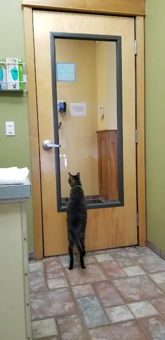 Riverview Animal Hospital 12