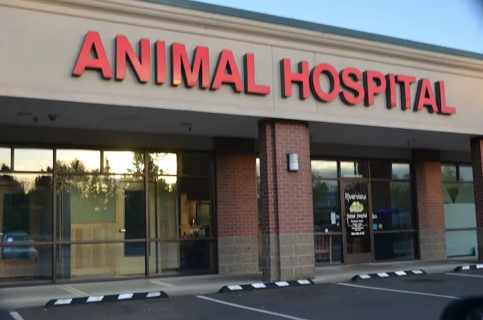 Riverview Animal Hospital 12