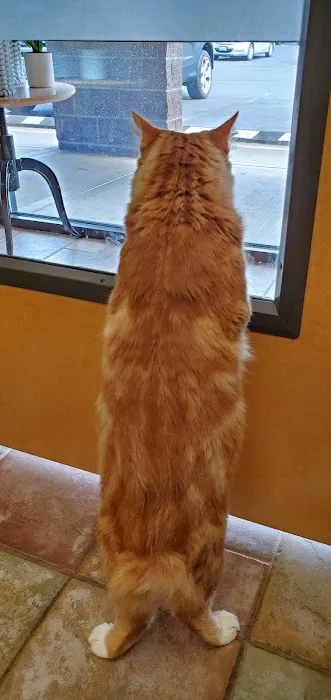 Riverview Animal Hospital 12