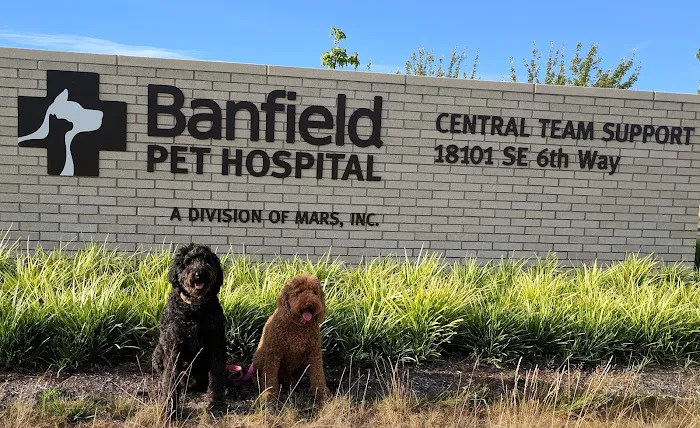 Banfield Headquarters 12