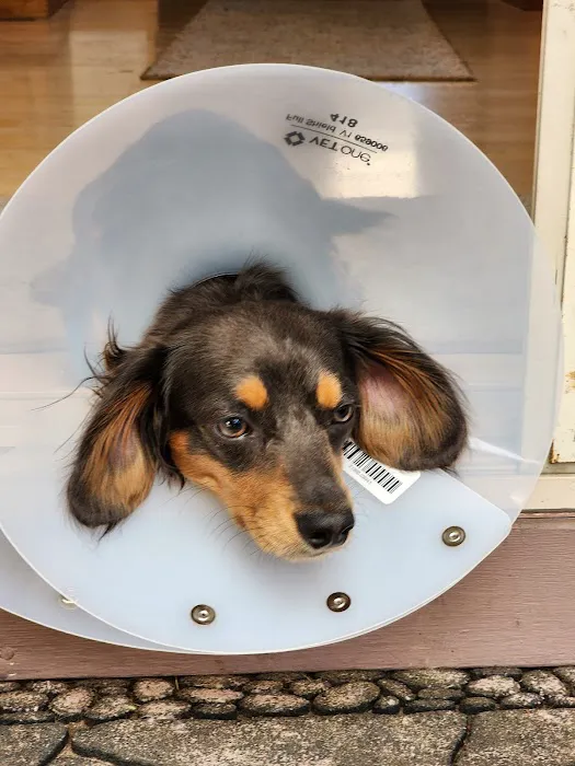 Banfield Pet Hospital 12