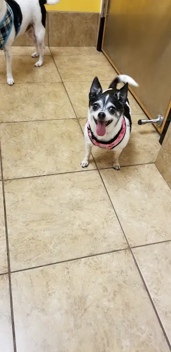 Banfield Pet Hospital 12