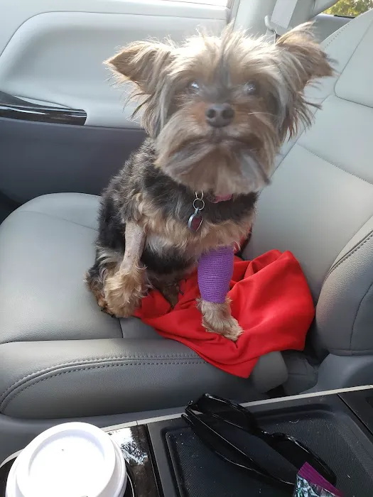 Banfield Pet Hospital 12