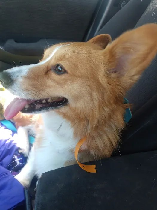 Banfield Pet Hospital 12