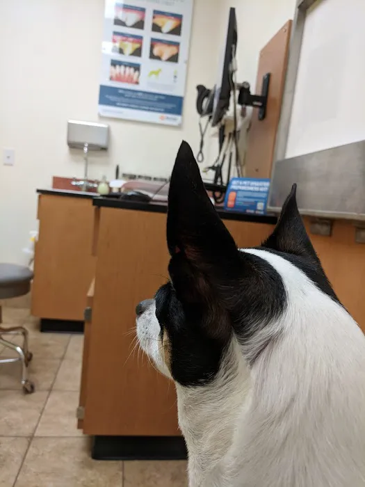Banfield Pet Hospital 12