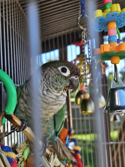 Avian and Exotic Veterinary Care 12