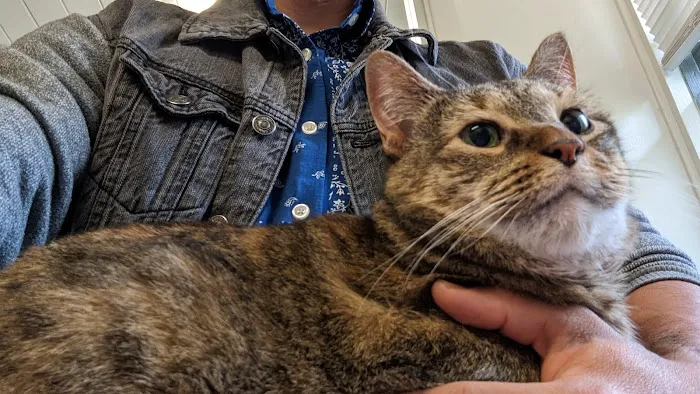 Portland Veterinary Wellness Center 12