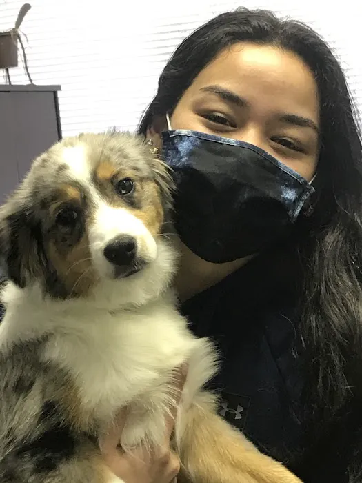 Portland Veterinary Wellness Center 12