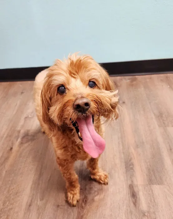 Banfield Pet Hospital 12