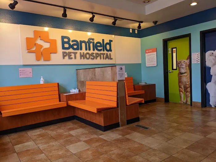 Banfield Pet Hospital 12