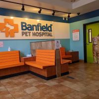 Banfield Pet Hospital ico