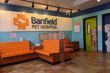 Banfield Pet Hospital
