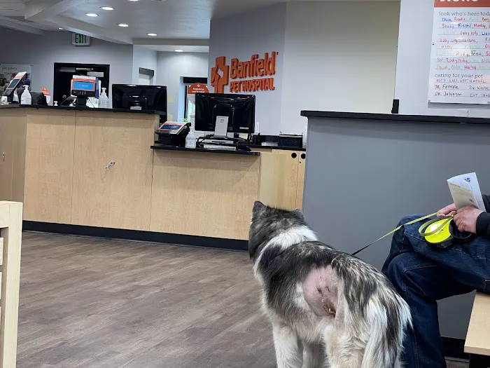 Banfield Pet Hospital 12