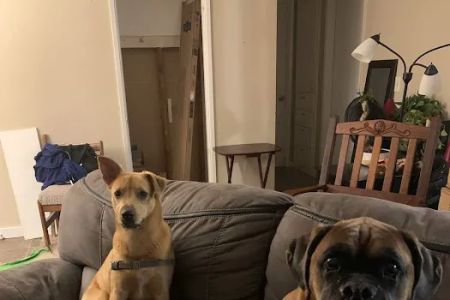 Portland Animal Welfare Team