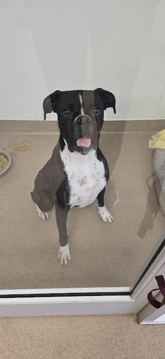 University Veterinary Center 8