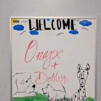 University Veterinary Center ico