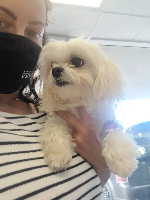 University Veterinary Center 9