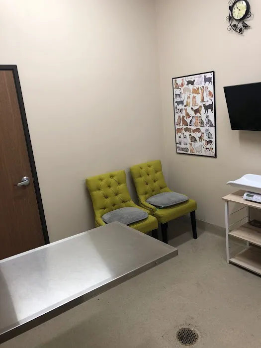 Anchor Animal Hospital 12