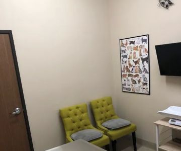 Anchor Animal Hospital