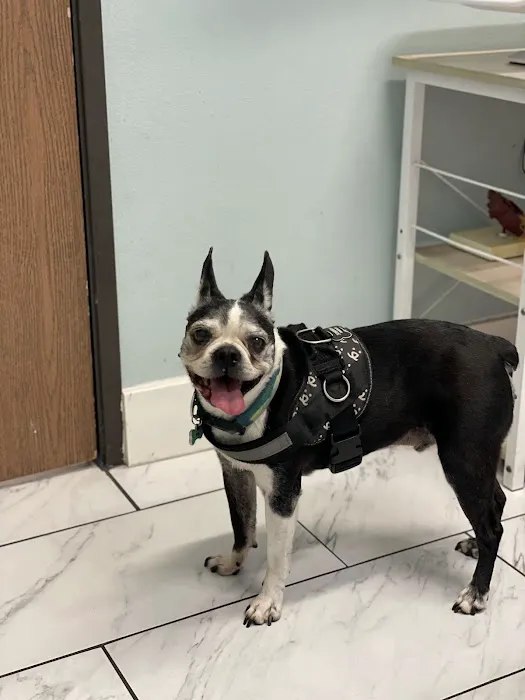 Anchor Animal Hospital 12