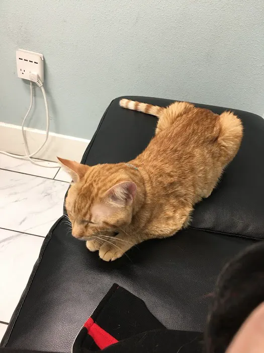 Anchor Animal Hospital 12
