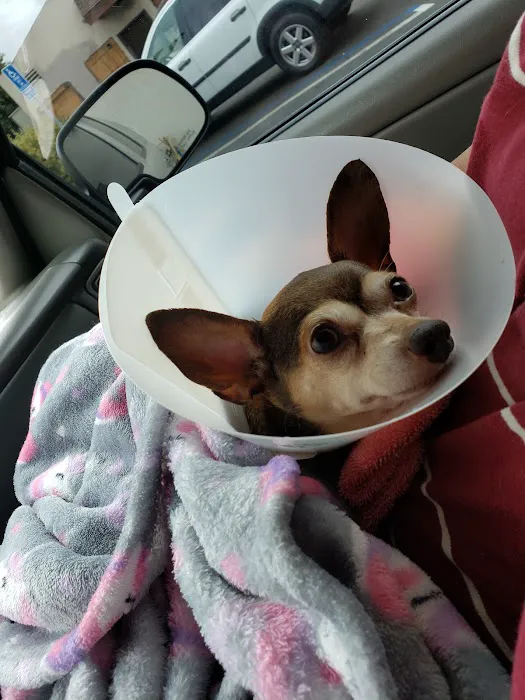 Anchor Animal Hospital 12
