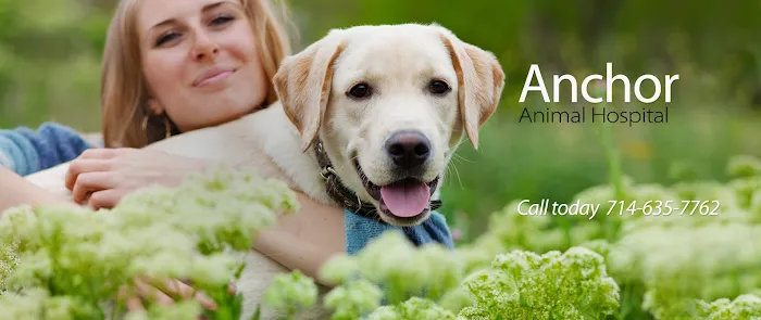 Anchor Animal Hospital 12
