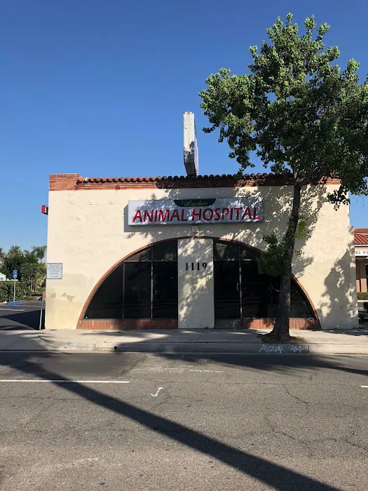 Anchor Animal Hospital 12