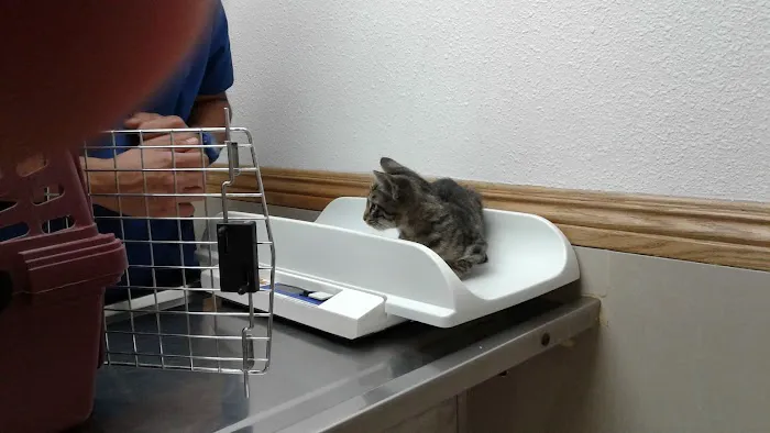 La Palma Veterinary Hospital 12