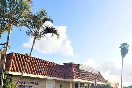 La Palma Veterinary Hospital