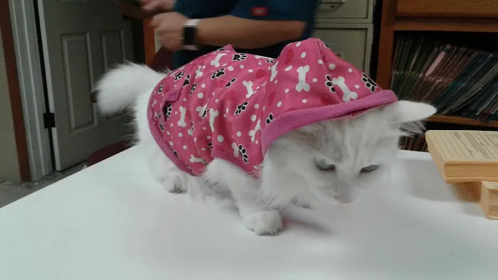 La Palma Veterinary Hospital 12