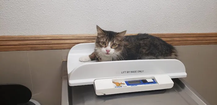 La Palma Veterinary Hospital 12