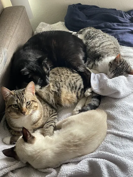 VIP Animal Hospital 7