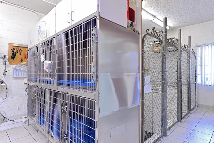 Cottage Pet Hospital 12