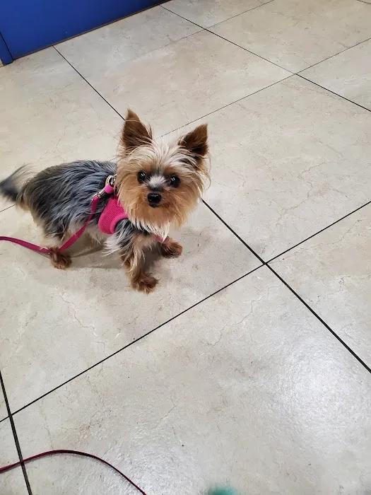 Cottage Pet Hospital 12
