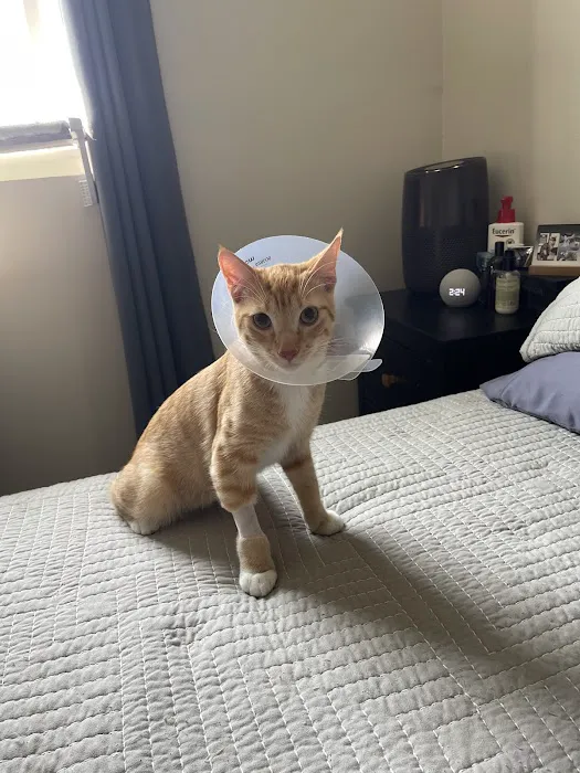 Cottage Pet Hospital 12