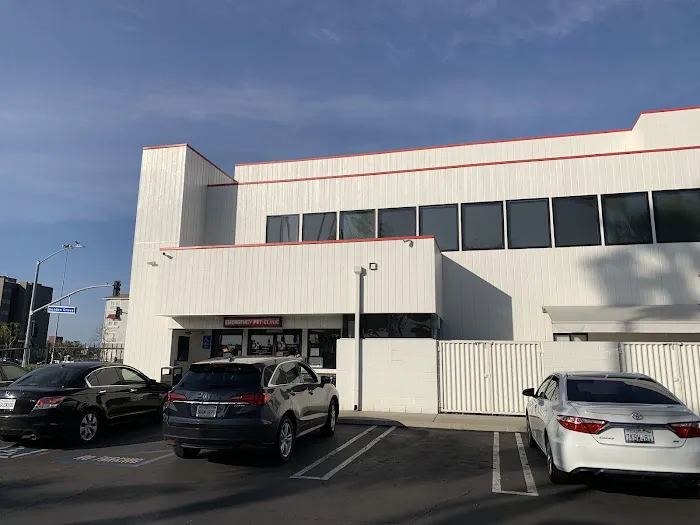 Orange County Emergency Pet Clinic 12
