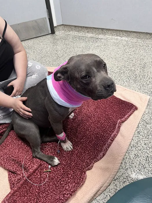 Orange County Emergency Pet Clinic 12