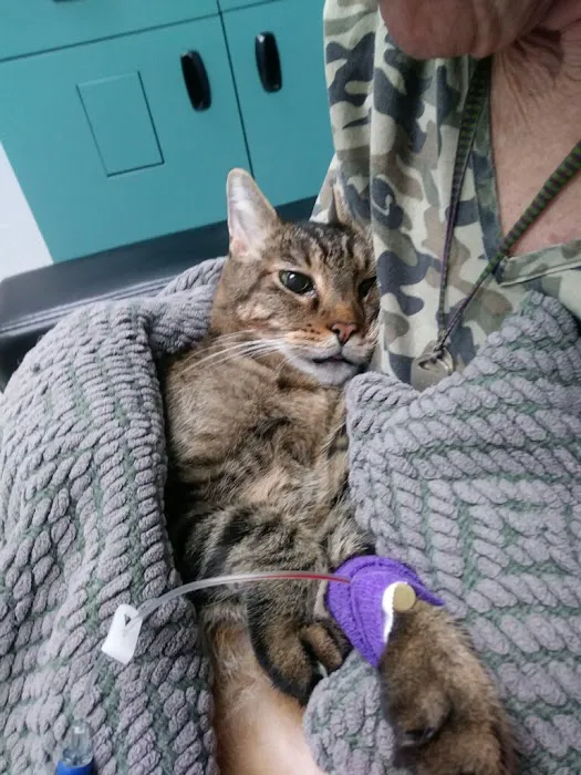Orange County Emergency Pet Clinic 12