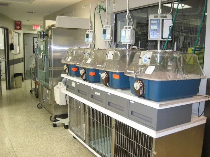 Orange County Emergency Pet Clinic 12