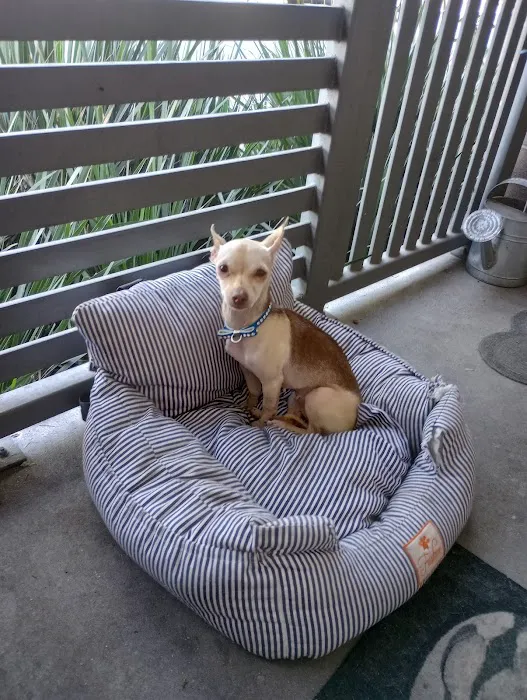 Orange County Emergency Pet Clinic 12