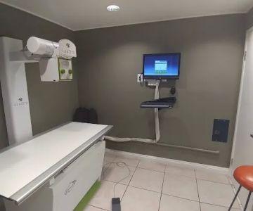 Airport Animal Hospital
