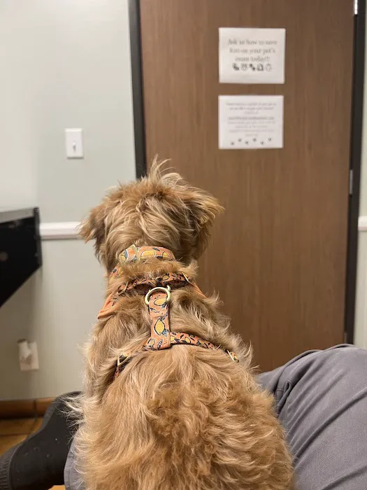 Fullerton Regional Veterinary Hospital 12