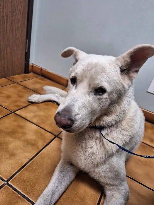 Fullerton Regional Veterinary Hospital 12