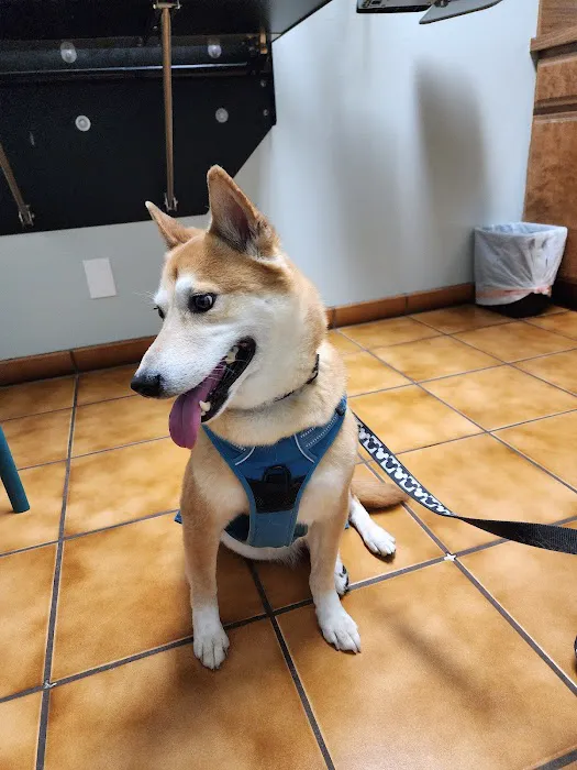 Fullerton Regional Veterinary Hospital 12