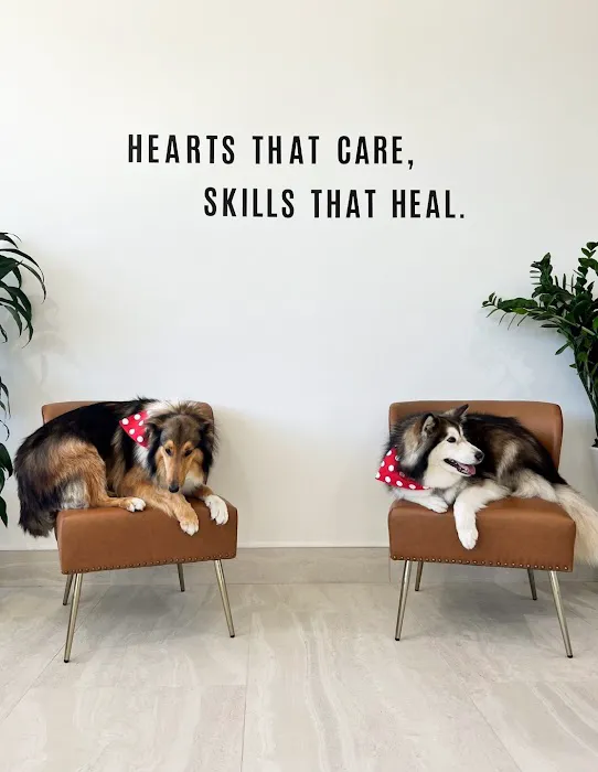 Oasis Pet Clinic 4