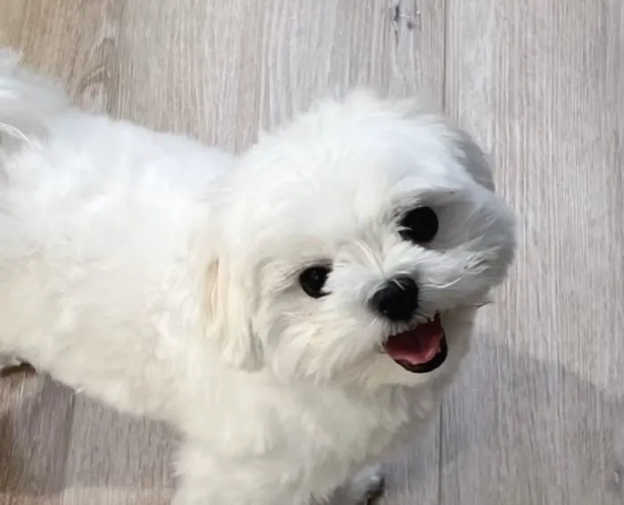 Oasis Pet Clinic 6