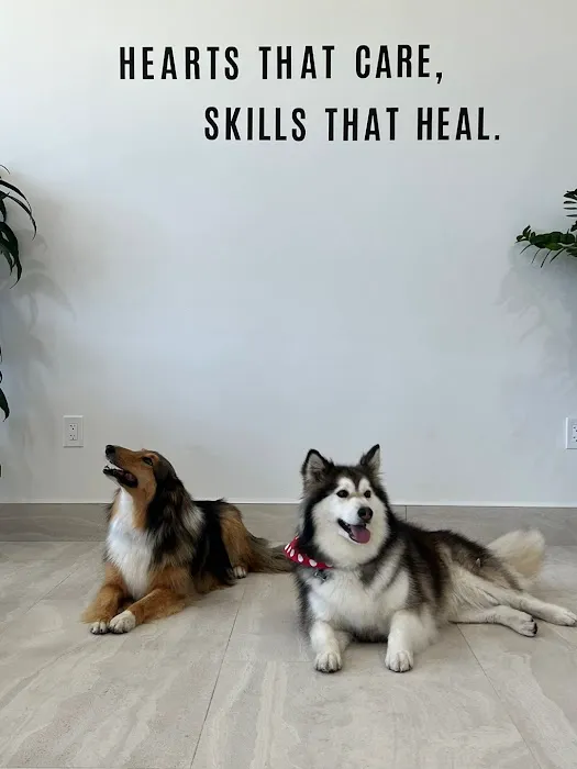 Oasis Pet Clinic 10